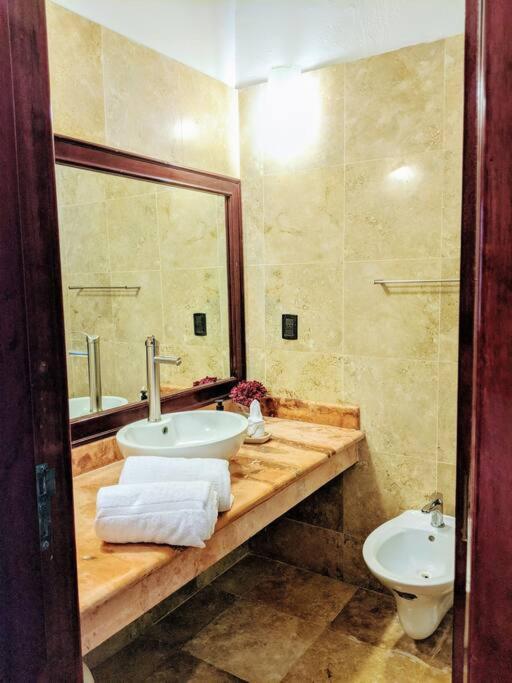 18br Up To 50guest Castillos Playacar Walk To And 5th Ave 1000mbps Holiday home