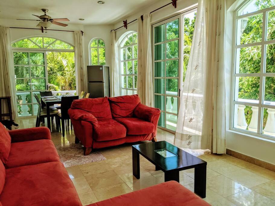 18br Up To 50guest Castillos Playacar Walk To And 5th Ave 1000mbps Holiday home *