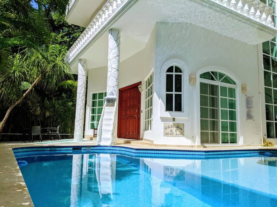 18br Up To 50guest Castillos Playacar Walk To And 5th Ave 1000mbps Сasa de vacaciones