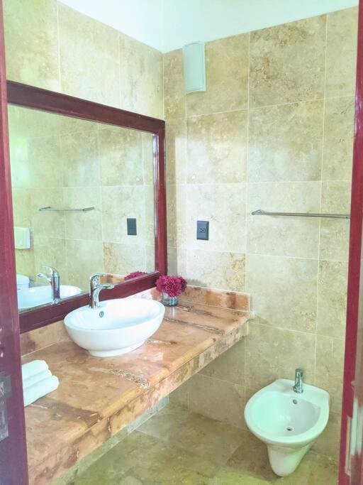 18br Up To 50guest Castillos Playacar Walk To And 5th Ave 1000mbps