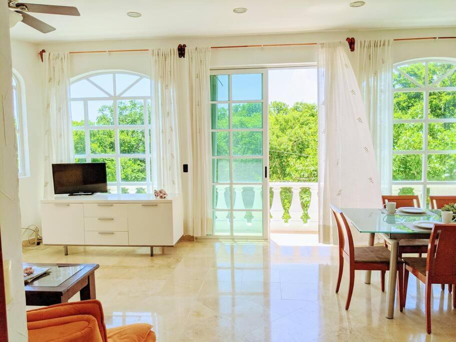 18br Up To 50guest Castillos Playacar Walk To And 5th Ave 1000mbps Playa del Carmen