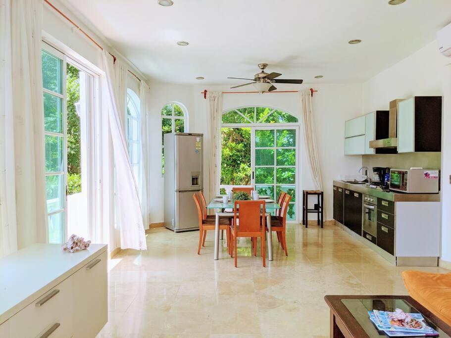 18br Up To 50guest Castillos Playacar Walk To And 5th Ave 1000mbps