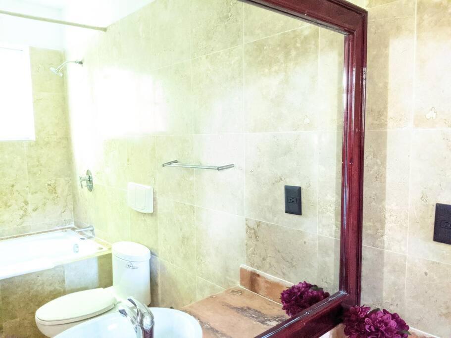 18br Up To 50guest Castillos Playacar Walk To And 5th Ave 1000mbps