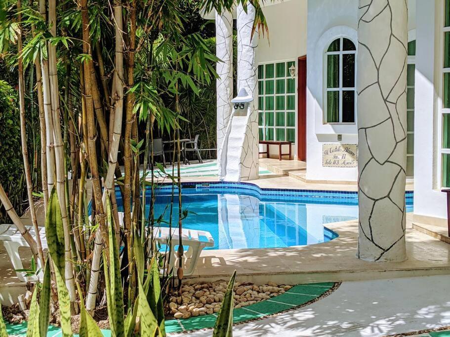 18br Up To 50guest Castillos Playacar Walk To And 5th Ave 1000mbps