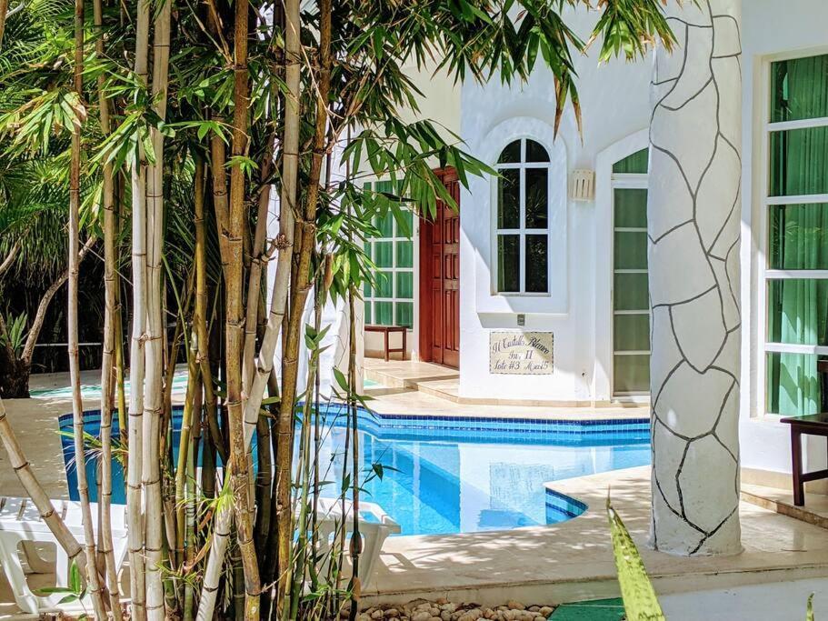 18br Up To 50guest Castillos Playacar Walk To And 5th Ave 1000mbps Playa del Carmen