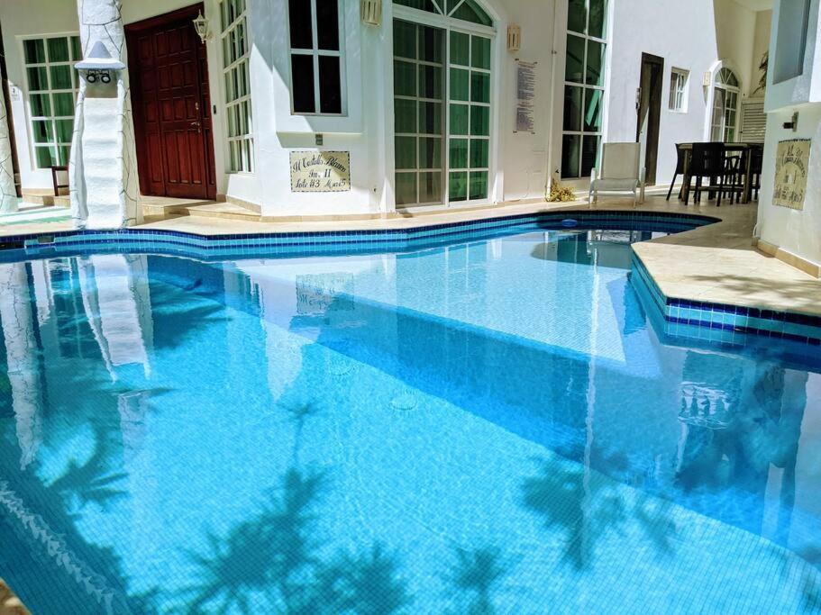 18br Up To 50guest Castillos Playacar Walk To And 5th Ave 1000mbps * Playa del Carmen