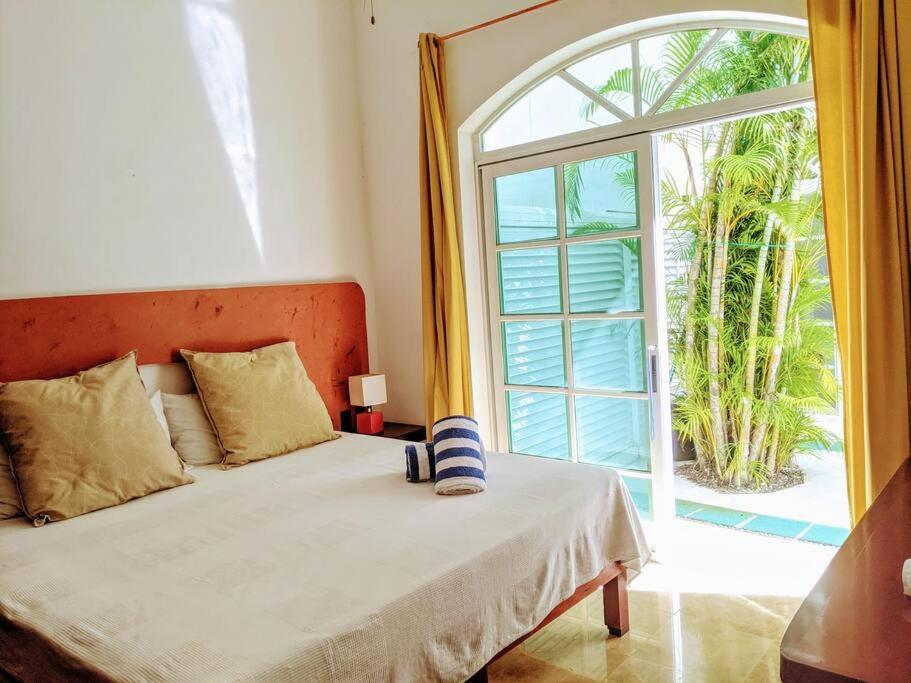 18br Up To 50guest Castillos Playacar Walk To And 5th Ave 1000mbps